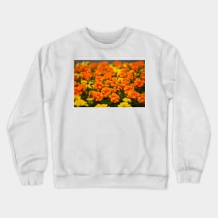 Potted carnations in the market Crewneck Sweatshirt